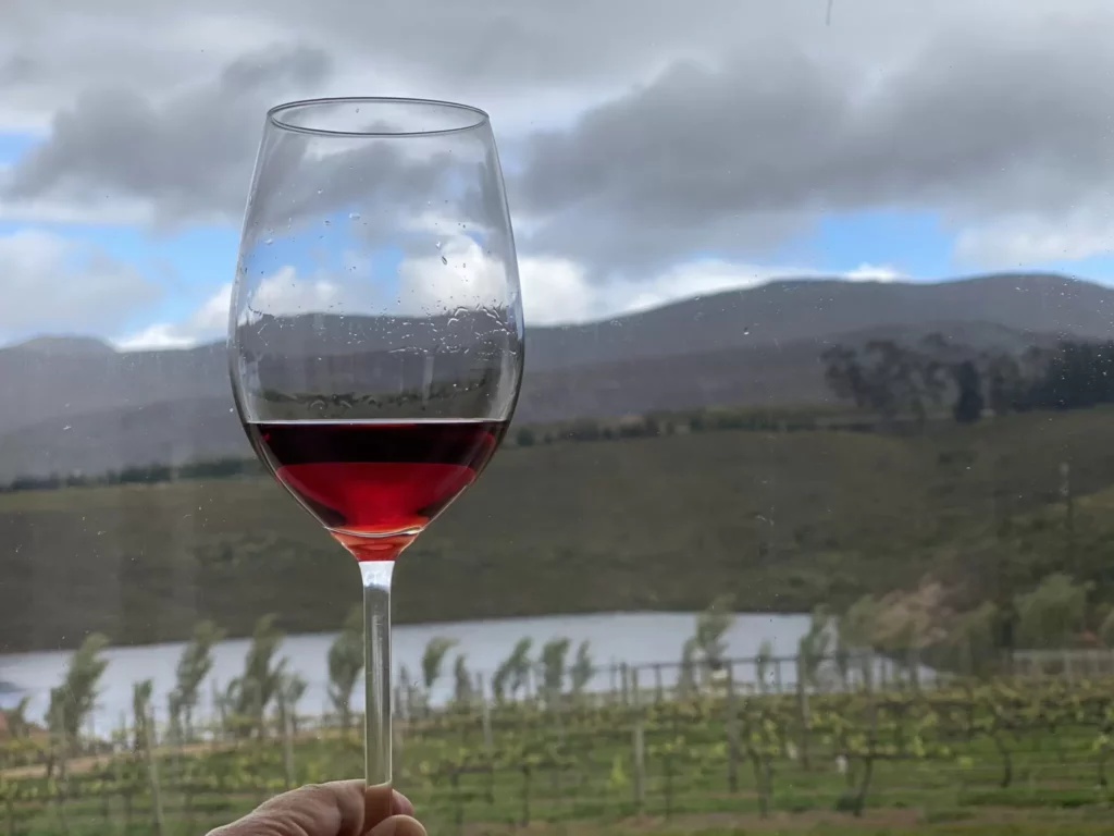 A Weekend in Hermanus