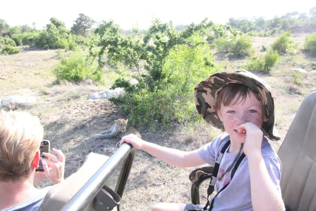 South Africa Safari Game Drive leopard in the Kruger National Park