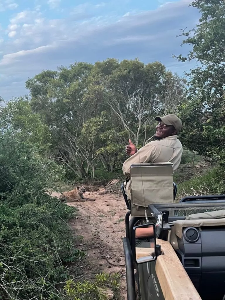 South Africa Safari Game Drive Hyaenas in the Kruger National Park