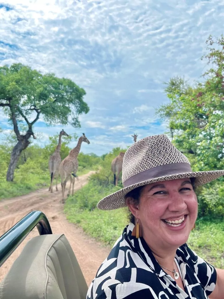 South Africa Safari Giraffes in the Kruger National Park