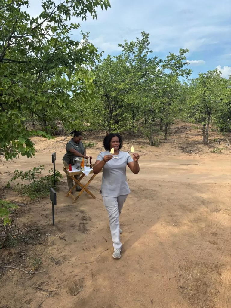 South Africa Safari Game Drive in the Kruger National Park