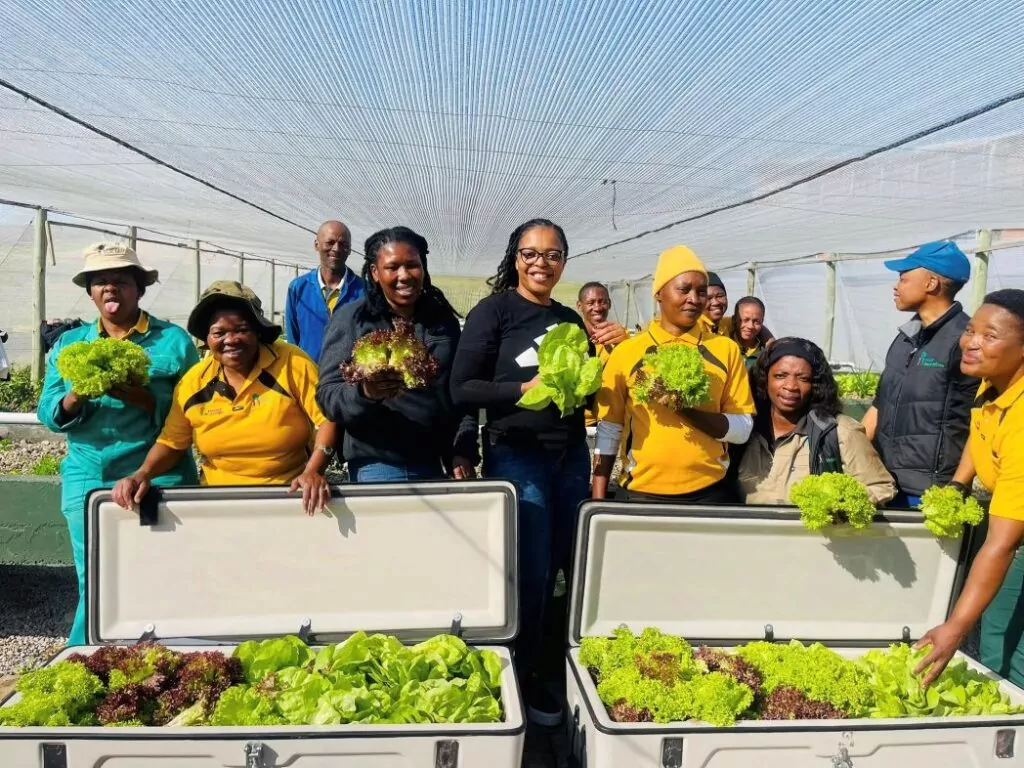 Cape Town Farming