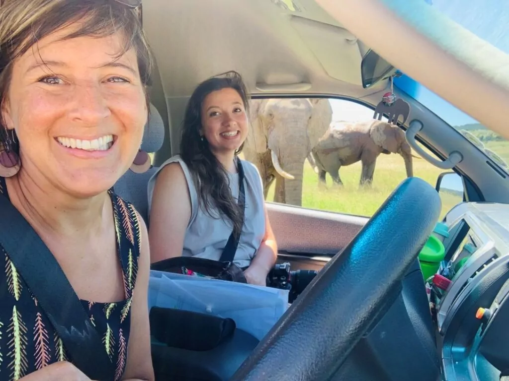 South African Safari 7 Day Garden Route & Addo Group Adventure