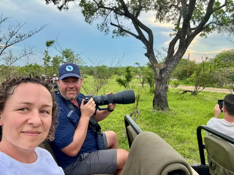 South Africa Safari Game Drive in the Kruger National Park with a leopard in the trees