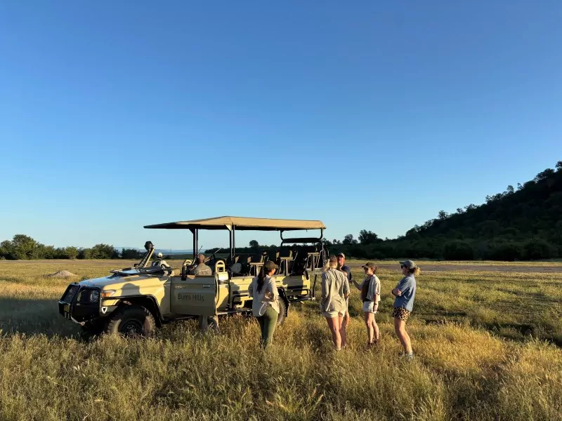 Wild Game Drive on Zimbabwe Safari Tour 2026