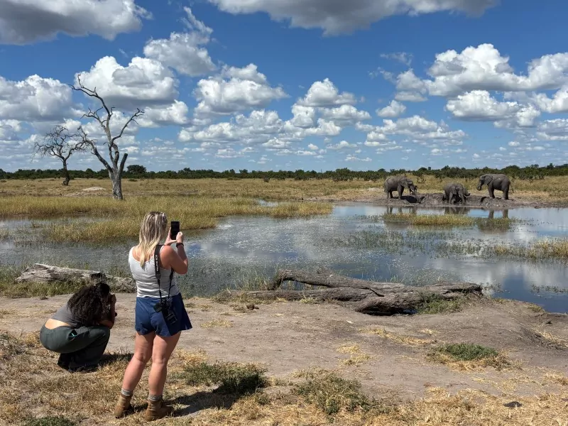 Elephant walk on Zimbabwe Safari Tour 2026