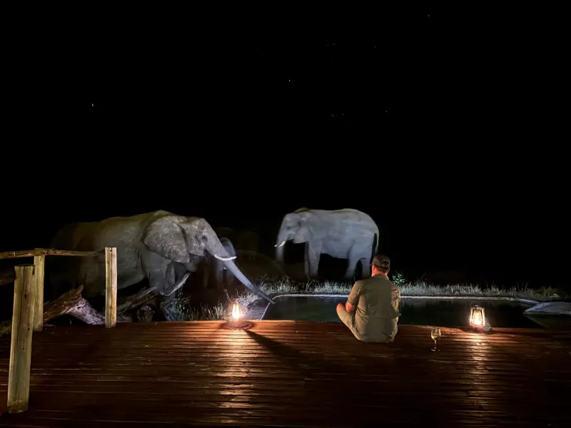 Elephant at accommodation on Zimbabwe Safari Tour 2026