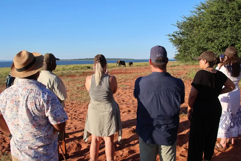 Elephant walk on Zimbabwe Safari Tour 2026