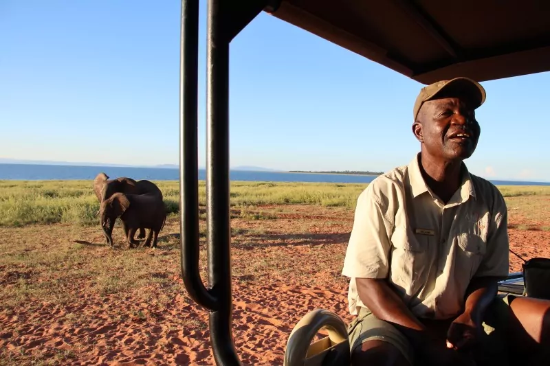 Elephant walk on Zimbabwe Safari Tour 2026
